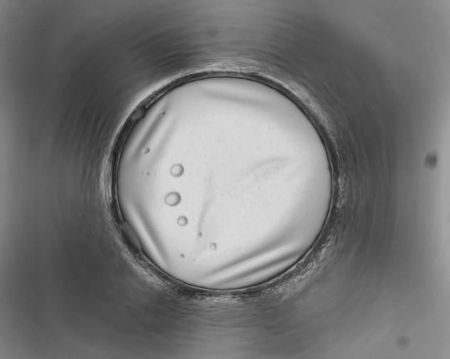 X0000116890838201001121342