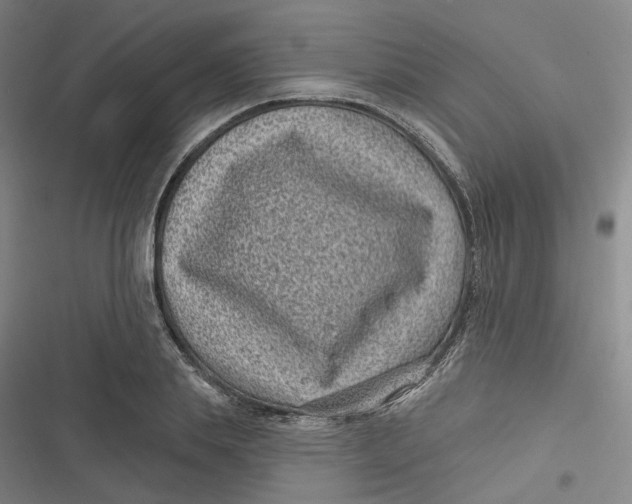 X0000116890839201001121342