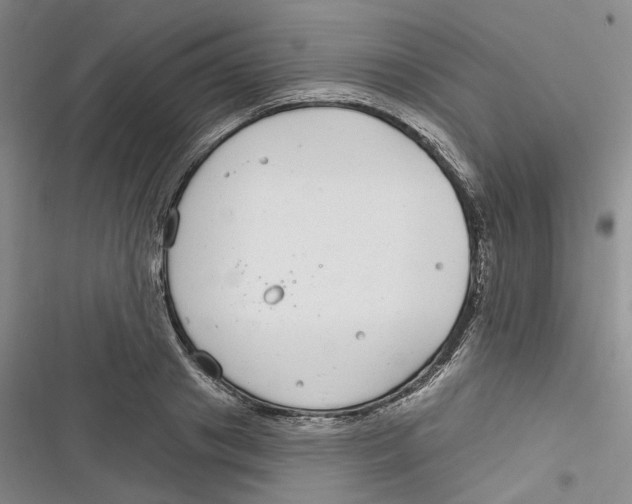 X0000116890841201001121342