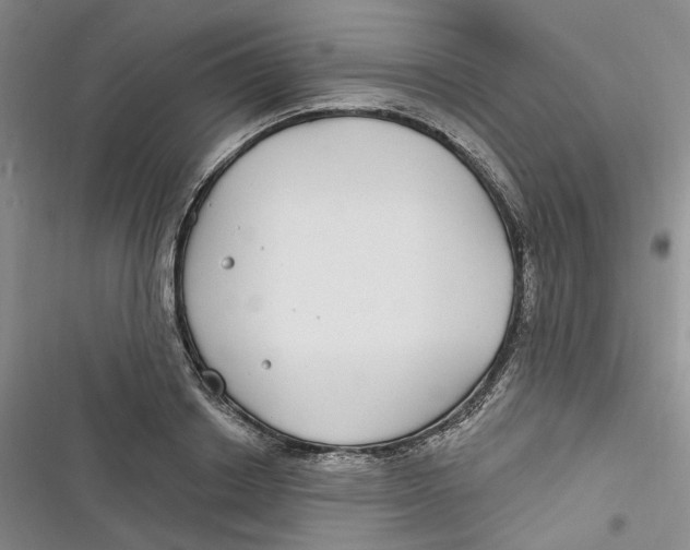 X0000116890842201001121342