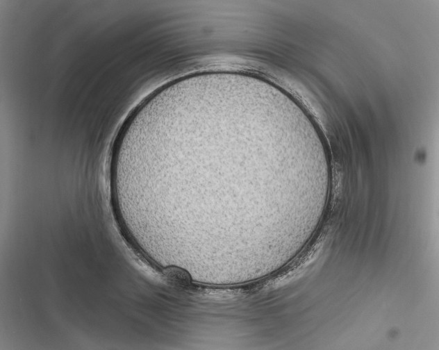 X0000116890843201001121342