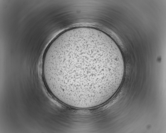 X0000116890844201001121342