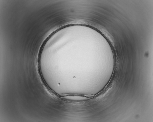 X0000116890845201001121342