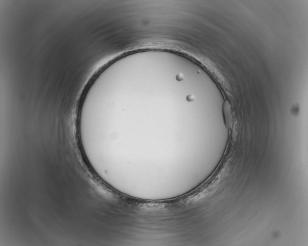 X0000116890846201001121342