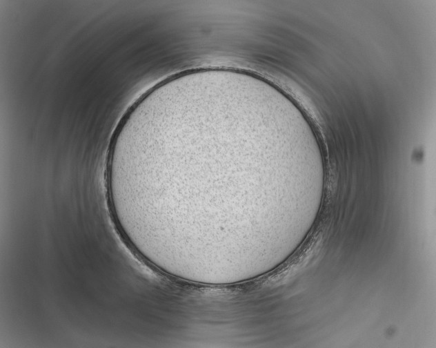 X0000116890847201001121342