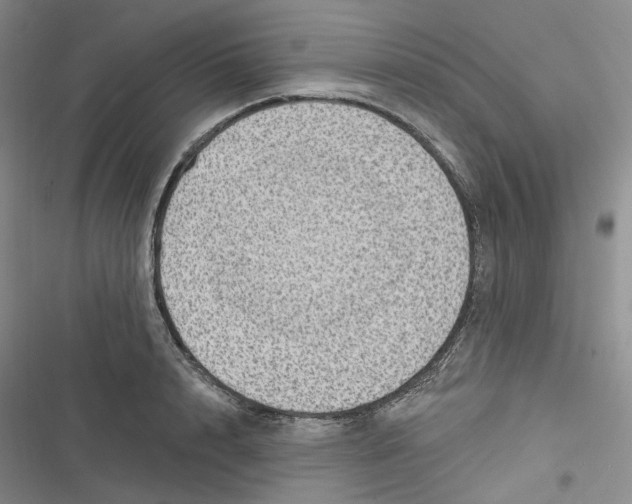 X0000116890848201001121342