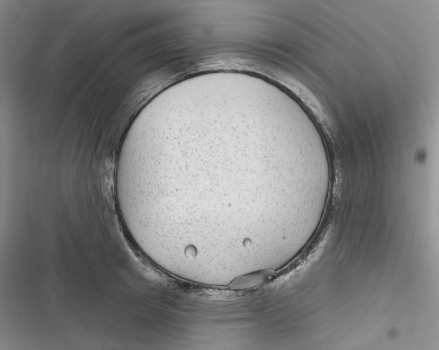 X0000116890849201001121342