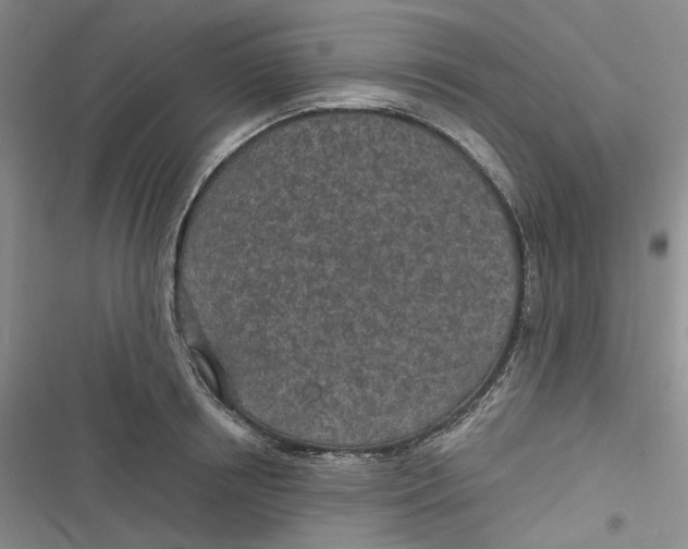 X0000116890850201001121342