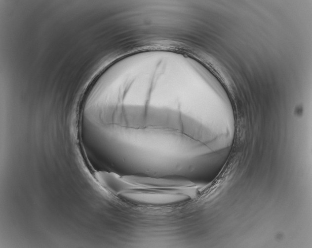 X0000116890851201001121342