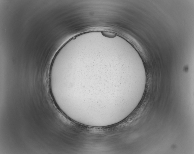 X0000116890852201001121342