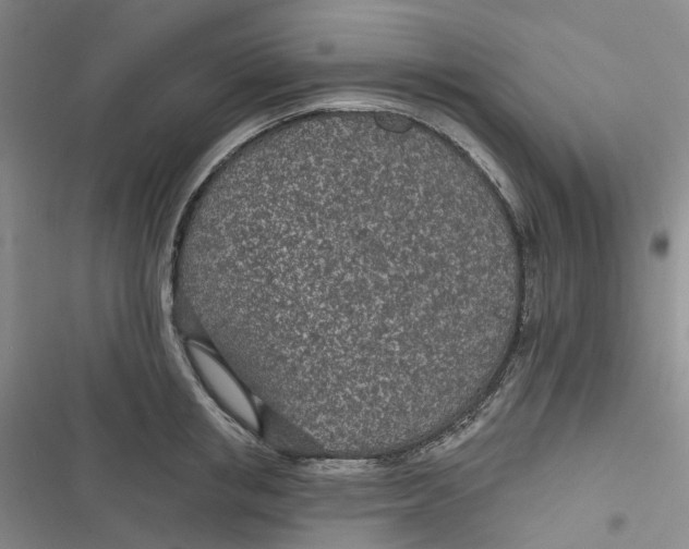 X0000116890853201001121342