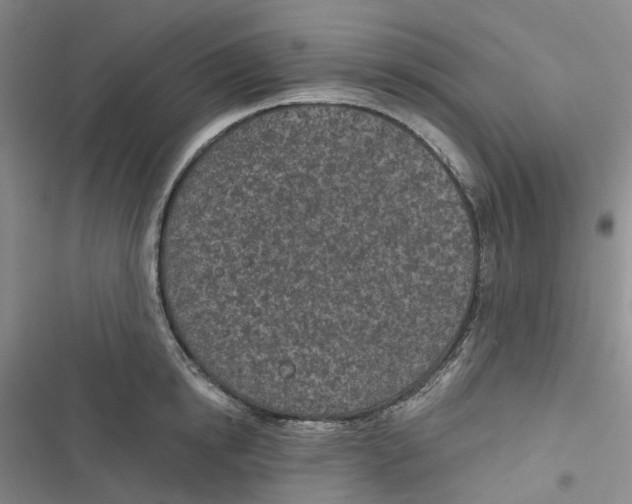 X0000116890854201001121342