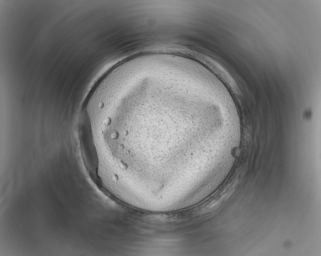 X0000116890855201001121342