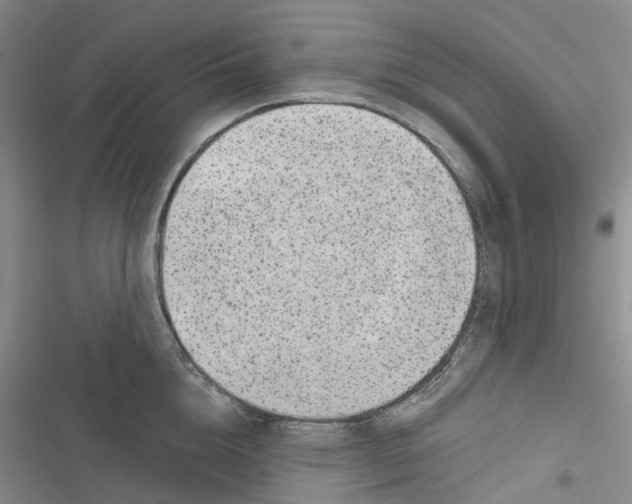 X0000116890856201001121342