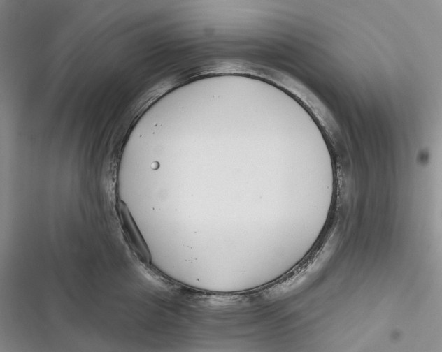 X0000116890857201001121342