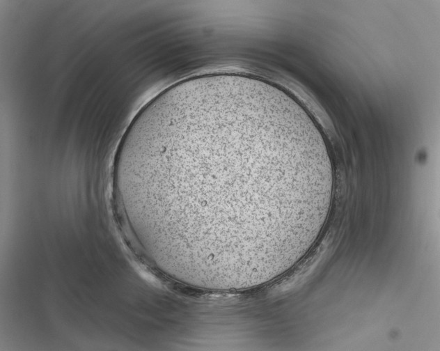 X0000116890858201001121342