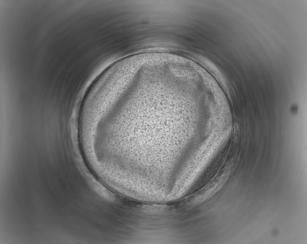 X0000116890859201001121342