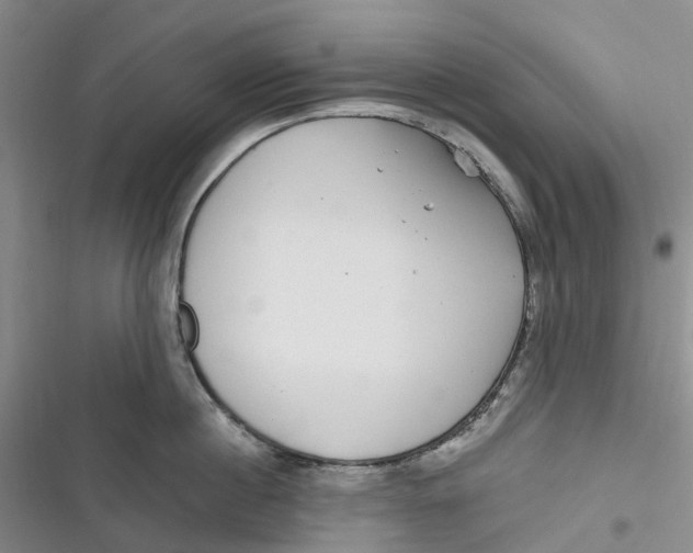 X0000116890860201001121342