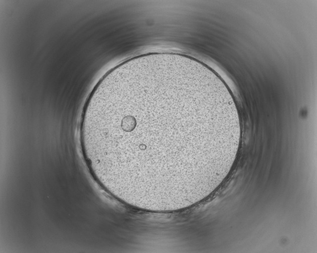 X0000116890861201001121342