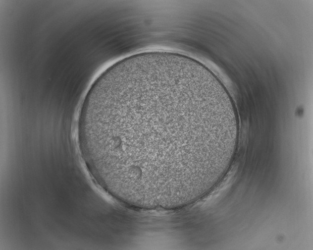 X0000116890862201001121342