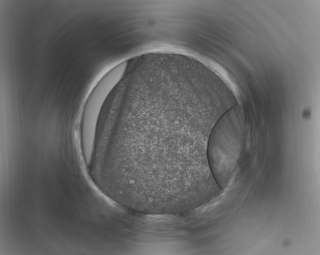 X0000116890863201001121342