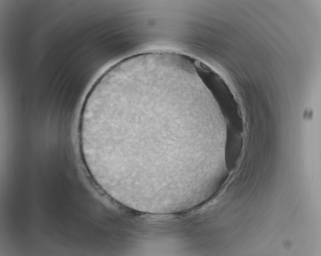 X0000116890864201001121342