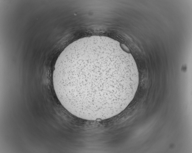 X0000116890866201001121341