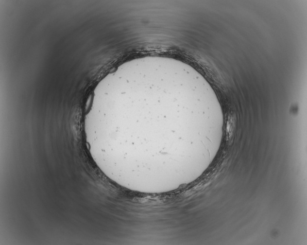 X0000116890867201001121341