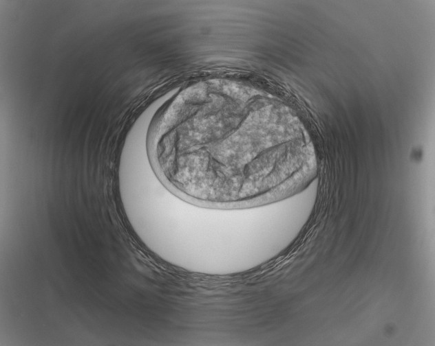 X0000116890868201001121341