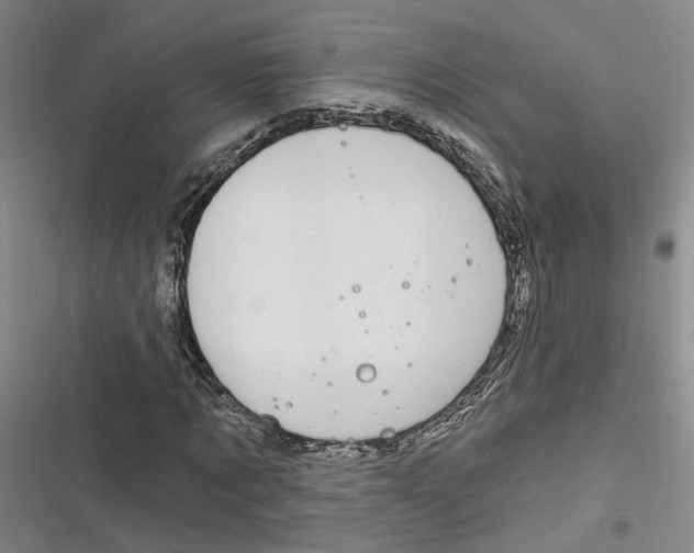 X0000116890869201001121341