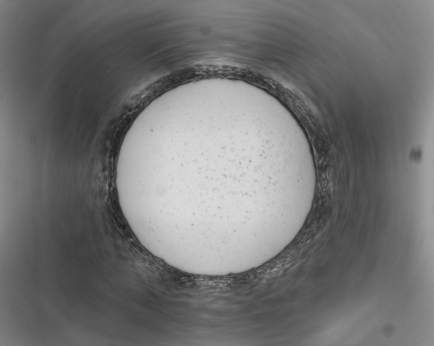 X0000116890870201001121341