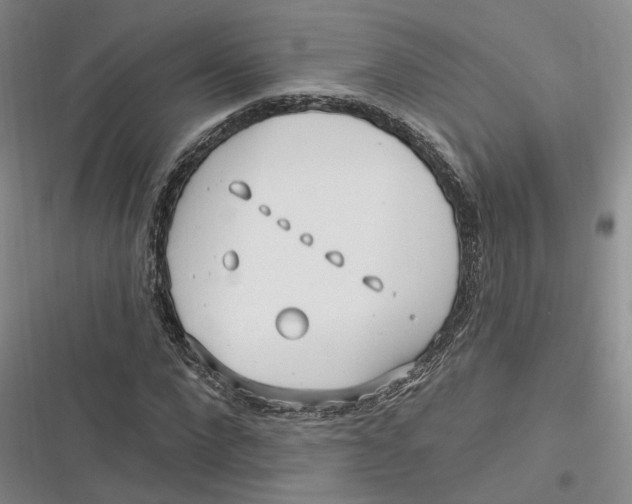 X0000116890872201001121341