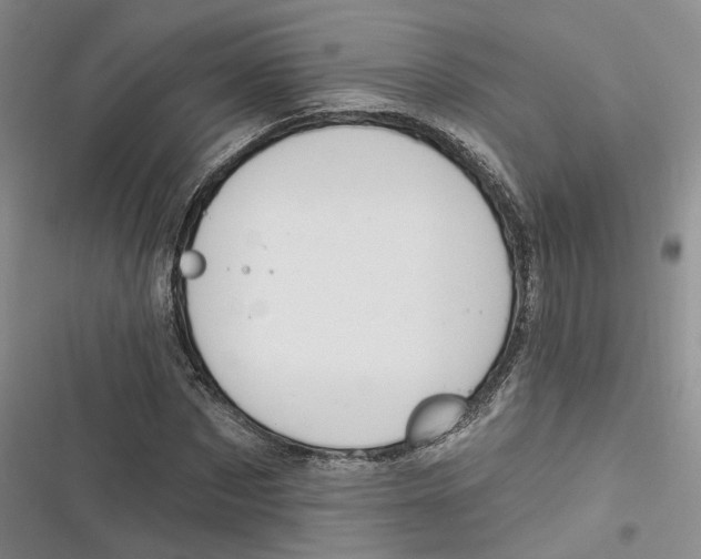 X0000116890873201001121341