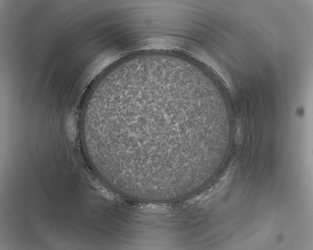 X0000116890874201001121341