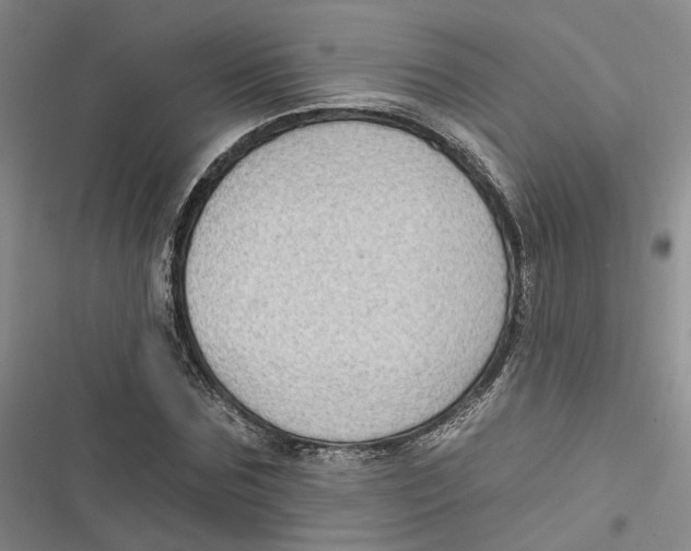 X0000116890875201001121341