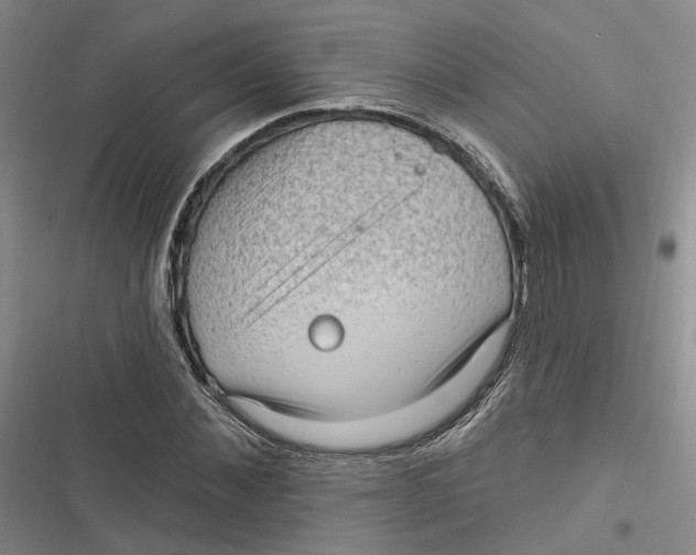 X0000116890876201001121341