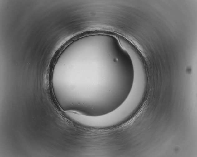 X0000116890877201001121341