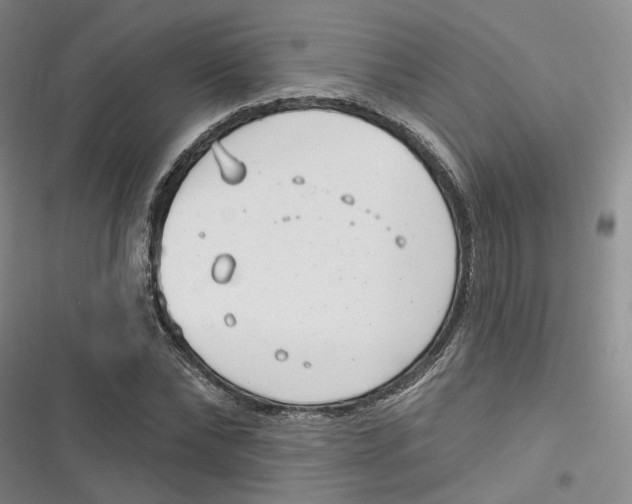 X0000116890878201001121341