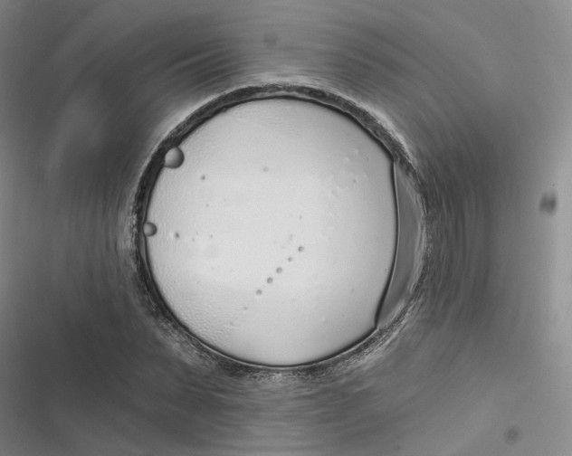 X0000116890879201001121341