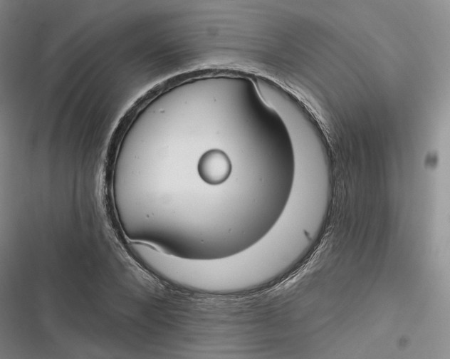 X0000116890880201001121341