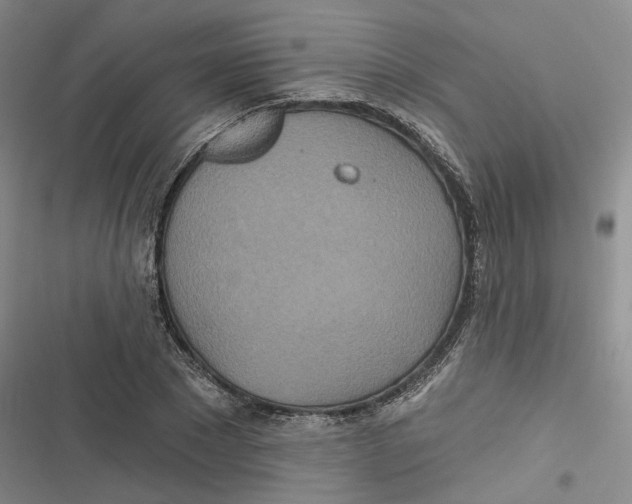 X0000116890881201001121341