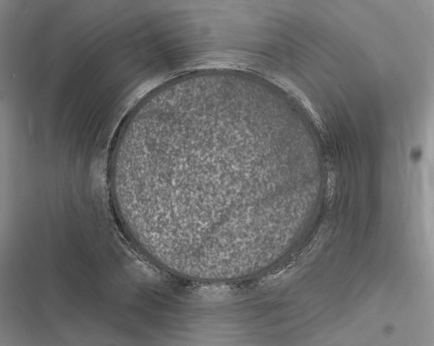 X0000116890882201001121341