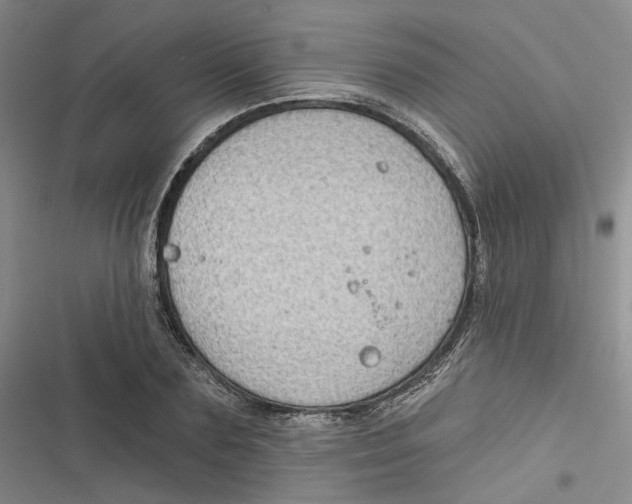 X0000116890883201001121341