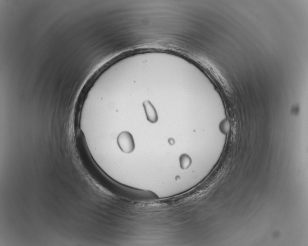 X0000116890884201001121341