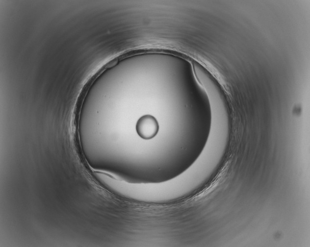 X0000116890885201001121341