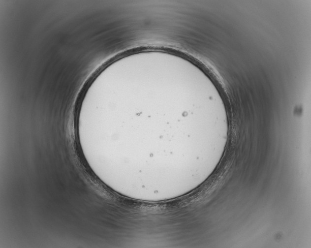 X0000116890887201001121341