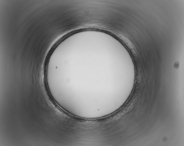 X0000116890888201001121341