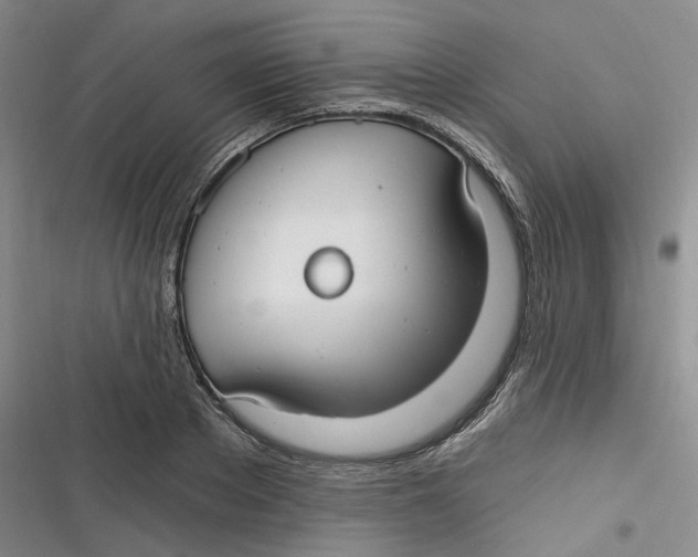 X0000116890889201001121341