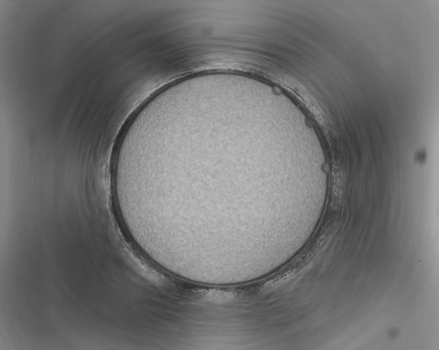 X0000116890890201001121341