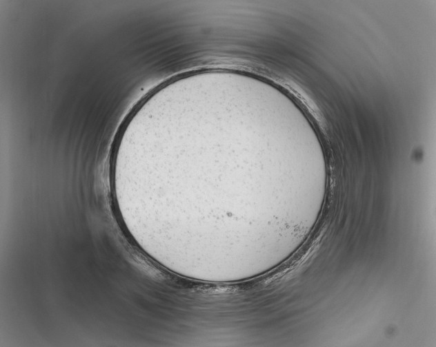 X0000116890891201001121341